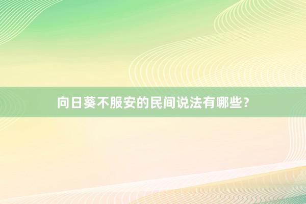 向日葵不服安的民间说法有哪些？