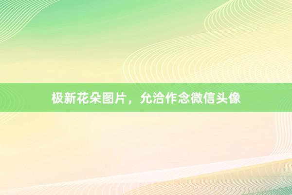 极新花朵图片，允洽作念微信头像