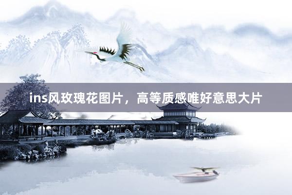 ins风玫瑰花图片，高等质感唯好意思大片